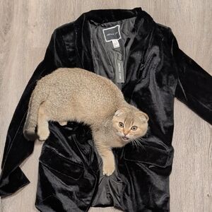 Black Velvet Blazer - Soft Shiny Finish